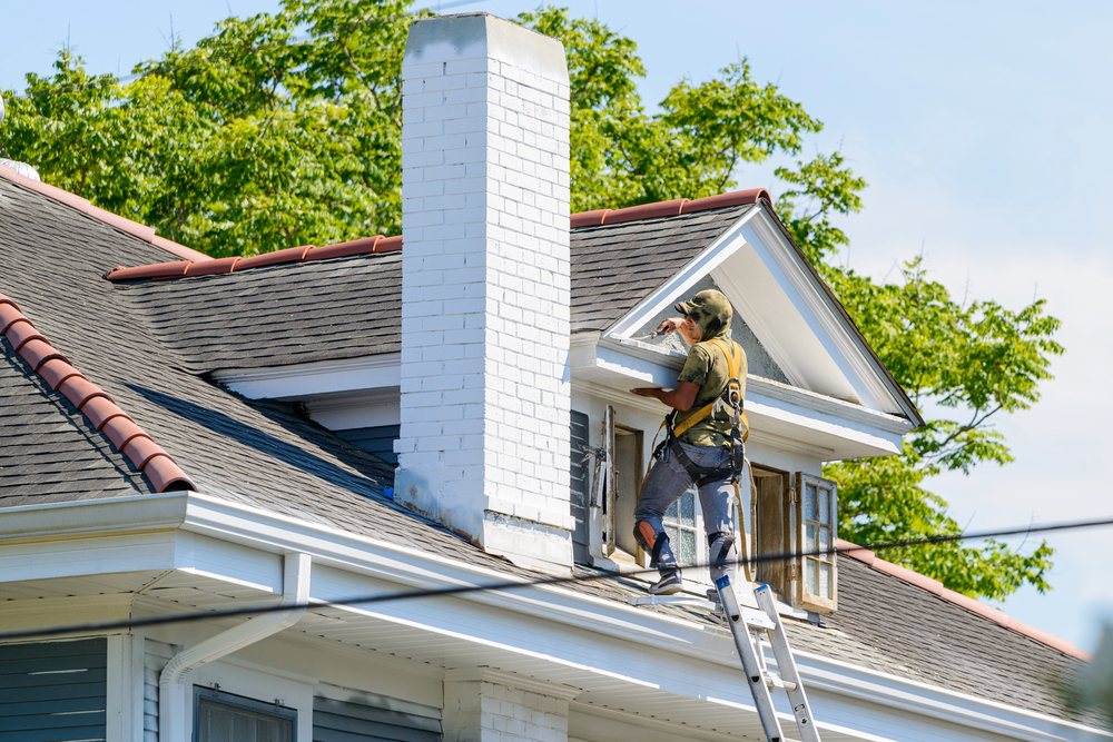 The Complete Guide to Protecting Your Home from Nature’s Damage