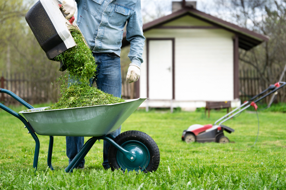 DIY Lawn Mower Maintenance for Beginners