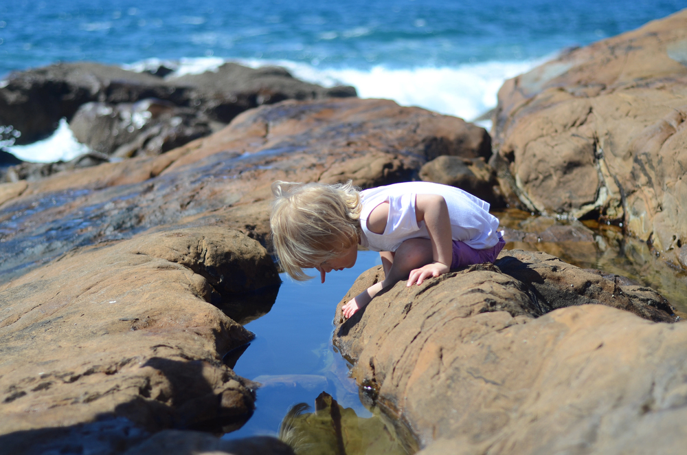 Connecting Kids with Nature: Outdoor Activities and Wildlife Spotting on Coastal Getaways